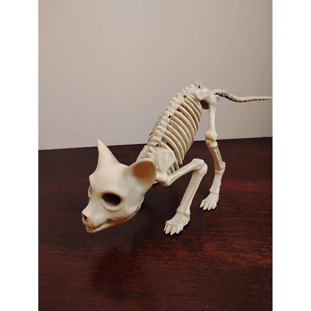 Halloween Cat Skeleton Prop Off White Arched Back Spooky Decor 13 Inch